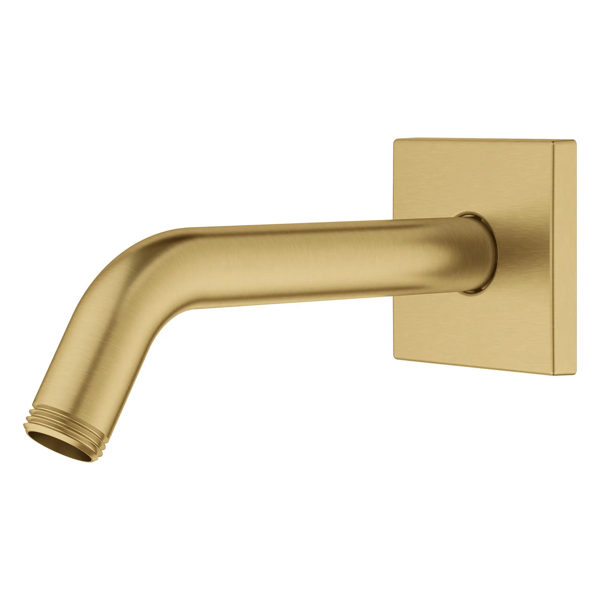 6" Shower Arm // BRUSHED COOL SUNRISE // 153644_26633GN0_2_0_CDNwebp.webp