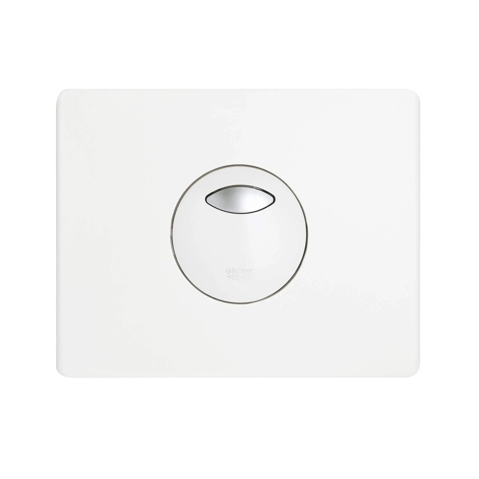 Wall Plate // ALPINE WHITE // 1929_38862sh0-wall-plate-enviro-1_0_CDNwebp.webp
