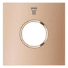 [107174DL00] Grohtherm Aqua Tiles - Brushed Cool Sunrise