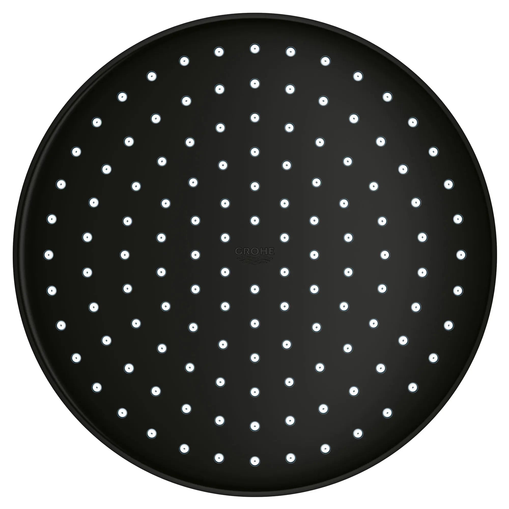 250 Rain Shower Head, 9 7?8" - 1 Spray, 1.75 GPM (6.6 L/min) // MATTE BLACK // 51009_26715243_2_0_CDNwebp.webp